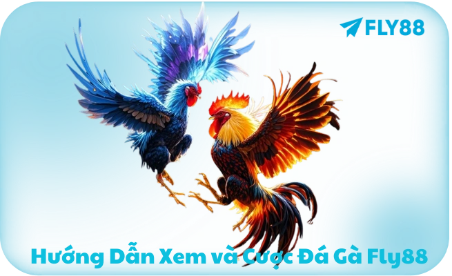 Huong dan xem va ca a cuoc da ga Fly88 Hướng dẫn xem và cá á cược đá gà Fly88